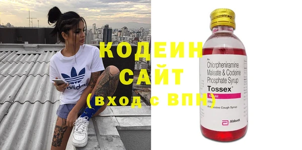 тгк Бородино