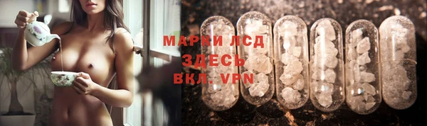 тгк Бородино