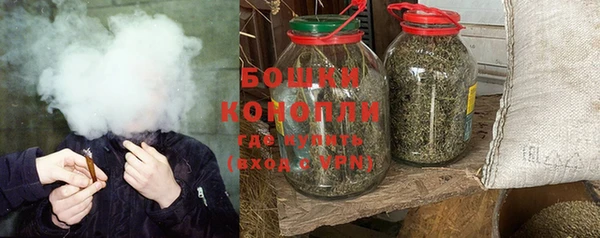 шишки Бугульма