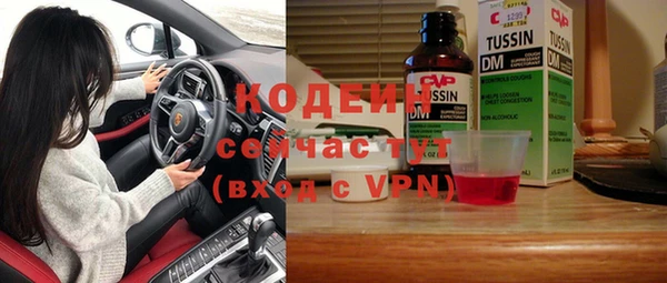 тгк Бородино