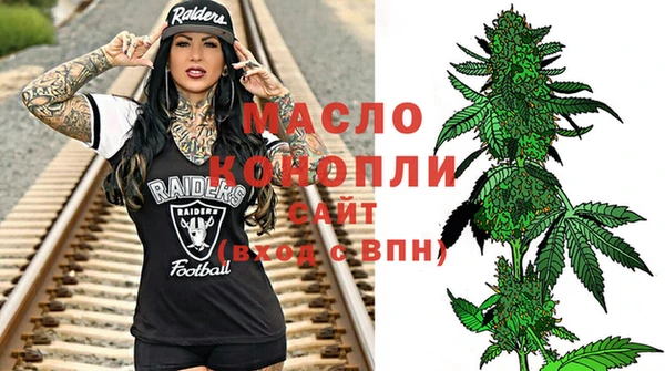 тгк Бородино